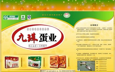 九珠蛋業(yè) 匠心傳承，自然饋贈(zèng)——皮蛋與咸蛋的綠色美味